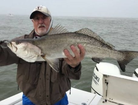 Speckled Trout / Spotted Seatrout fishing in Galveston, Texas