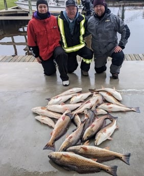 Redfish Fishing in Sulphur, Louisiana