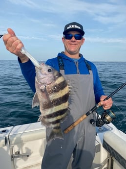 Sheepshead Fishing in Pensacola, Florida