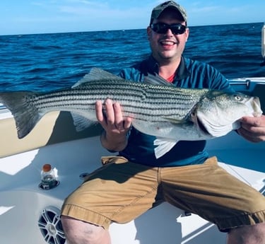 Hybrid Striped Bass fishing in Bourne, Massachusetts