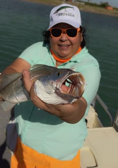 Speckled Trout / Spotted Seatrout fishing in South Padre Island, Texas