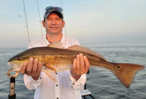 Redfish Fishing in South Padre Island, Texas