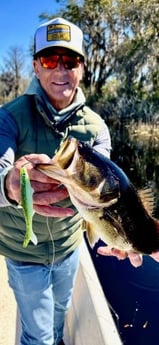 Largemouth Bass Fishing in Crystal River, Florida