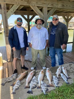 Black Drum fishing in Rockport, Texas