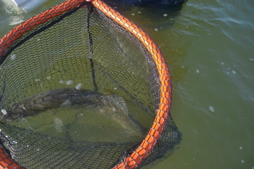 Speckled Trout / Spotted Seatrout fishing in Corpus Christi, Texas