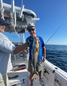 Amberjack fishing in Pensacola, Florida