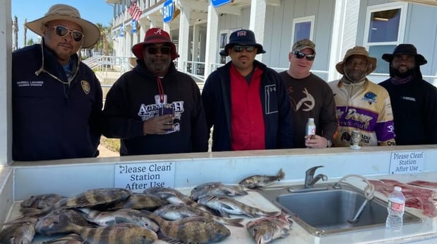 Sheepshead fishing in Galveston, Texas