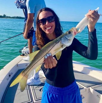 Snook fishing in Sarasota, Florida