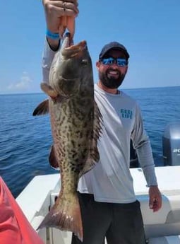 Amberjack fishing in Panama City, Florida