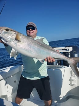 Gag Grouper fishing in Port Orange, Florida