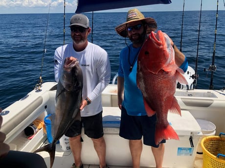 Amberjack, Red Snapper fishing in Pensacola, Florida