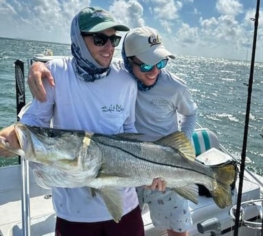 Snook Fishing in Sarasota, Florida