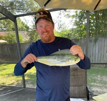 Mahi Mahi Fishing in Pensacola, Florida