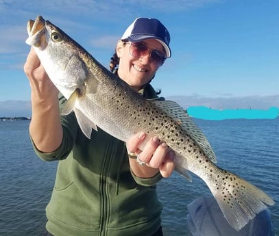 Speckled Trout / Spotted Seatrout Fishing in Clearwater, Florida