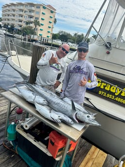 False Albacore, Skipjack Tuna, Wahoo Fishing in Pompano Beach, Florida