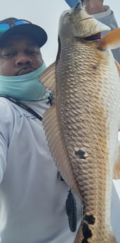 Redfish Fishing in Galveston, Texas