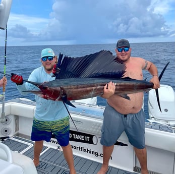 Sailfish fishing in Port Aransas, Texas