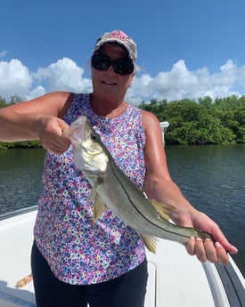 Snook fishing in Clearwater, Florida