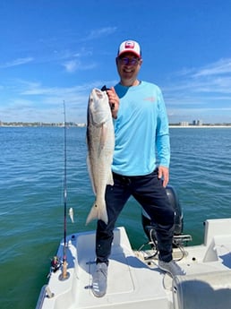 Sheepshead fishing in Orange Beach, Alabama