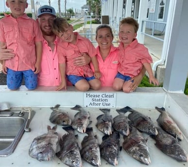 Black Drum, Sheepshead, Speckled Trout / Spotted Seatrout fishing in Galveston, Texas