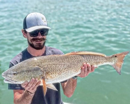 Redfish Fishing in Tampa, Florida