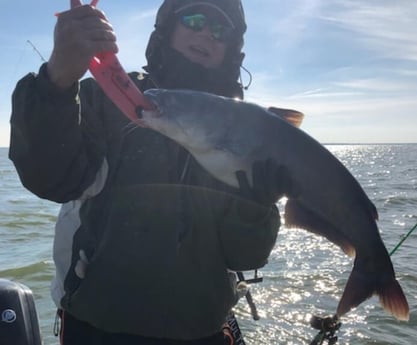 Blue Catfish fishing in Dallas, Texas