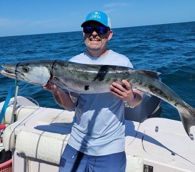 Barracuda fishing in Clearwater, Florida