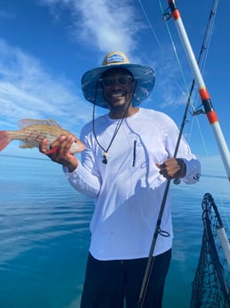 Lane Snapper fishing in Naples, Florida