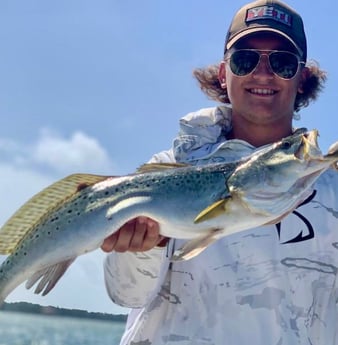 Speckled Trout / Spotted Seatrout fishing in Sarasota, Florida