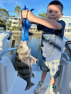 Black Drum Fishing in Clearwater, Florida