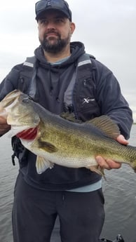 Largemouth Bass Fishing in Fort Lauderdale, Florida