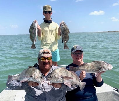 Black Drum fishing in Port Aransas, Texas