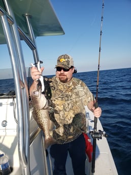 Redfish fishing in Pensacola, Florida