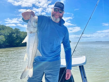 Speckled Trout / Spotted Seatrout fishing in Tavernier, Florida