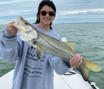 Snook fishing in Tavernier, Florida