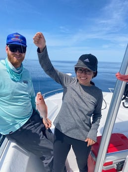 Red Snapper Fishing in Destin, Florida