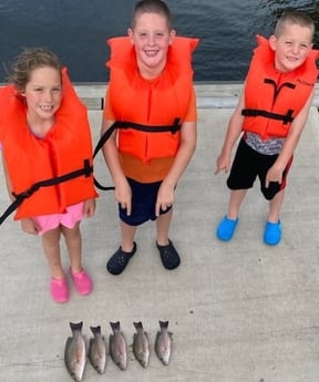 Mangrove Snapper fishing in Destin, Florida