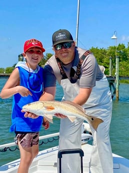 Snook fishing in Sarasota, Florida