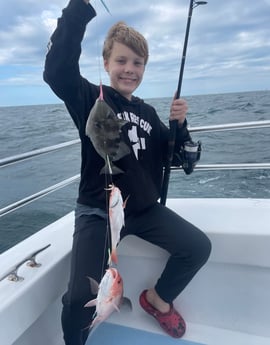 Red Snapper, Triggerfish Fishing in Orange Beach, Alabama