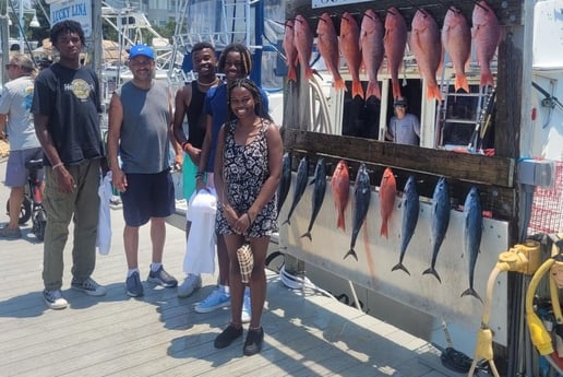 False Albacore, Red Snapper Fishing in Destin, Florida