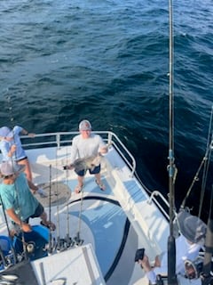 Fishing in Orange Beach, Alabama