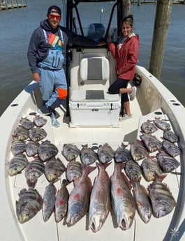 Sheepshead, Speckled Trout / Spotted Seatrout fishing in Venice, Louisiana