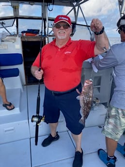 Red Grouper Fishing in West Palm Beach, Florida
