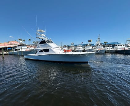 Fishing in Panama City, Florida