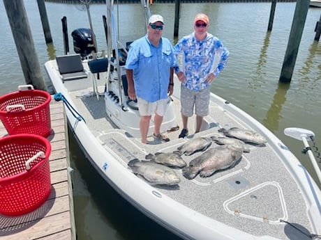 Tripletail Fishing in Buras, Louisiana