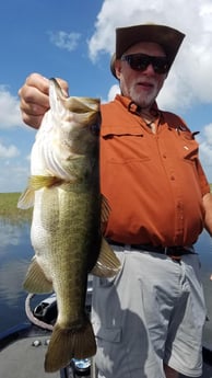 Largemouth Bass fishing in Fort Lauderdale, Florida