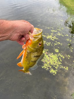 Fishing in West Palm Beach, Florida