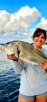 Black Drum Fishing in South Padre Island, Texas