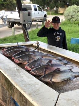 Blue Catfish fishing in San Antonio, Texas