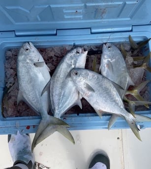 Florida Pompano Fishing in Key Largo, Florida